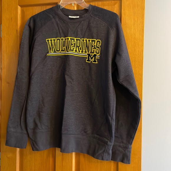 Champion Other - NWOT University of Michigan sweatshirt